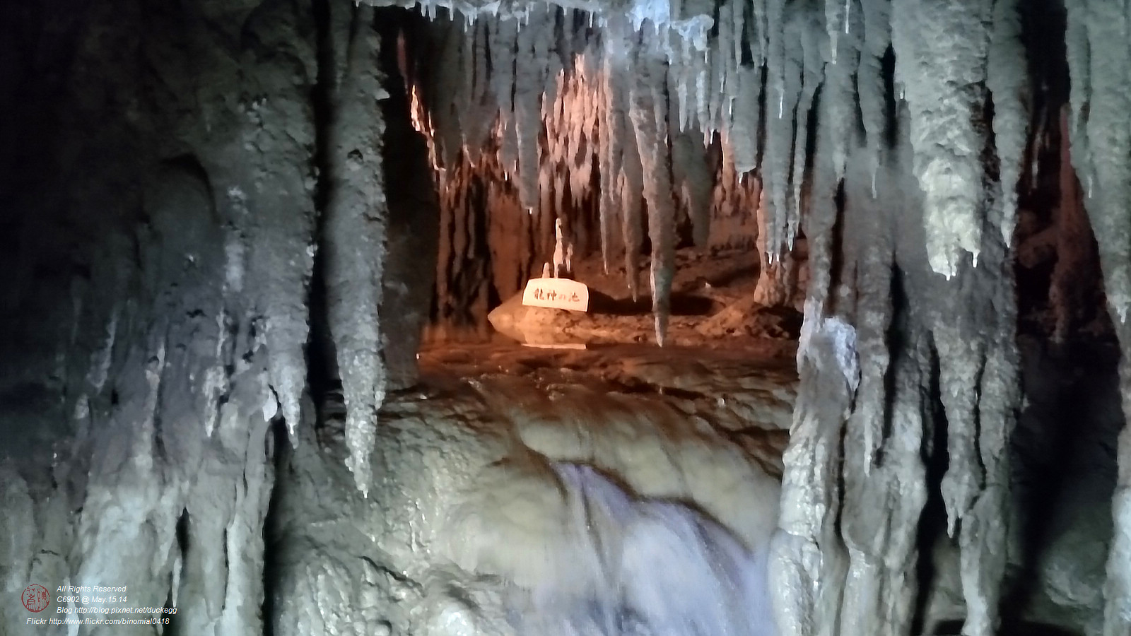 DSC_2976.jpg